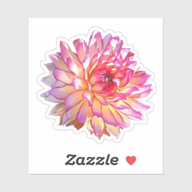 Pale Ombre Orange Pink Giant Dahlia Flower (Sheet)