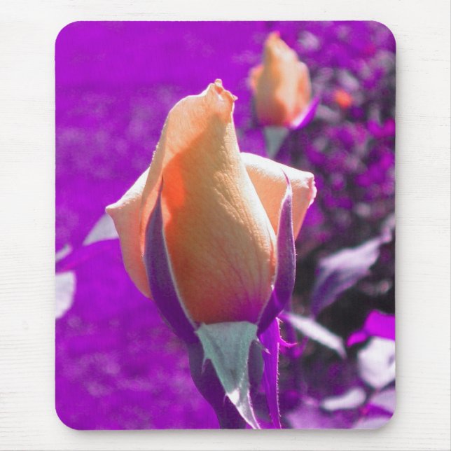 Pale Orange Rose bud mouse pad (Front)
