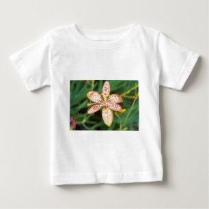 Pale orange spotted Blackberry lily Baby T-Shirt