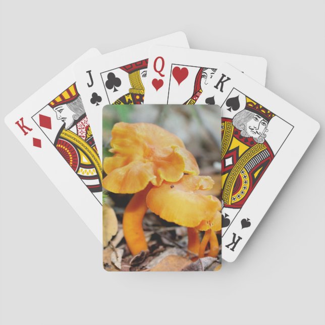 Pale Orange Wild Mushroom Family Nature  Playing Cards (Back)