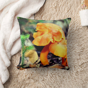 Pale Orange Wild Mushrooms Close Up  Cushion