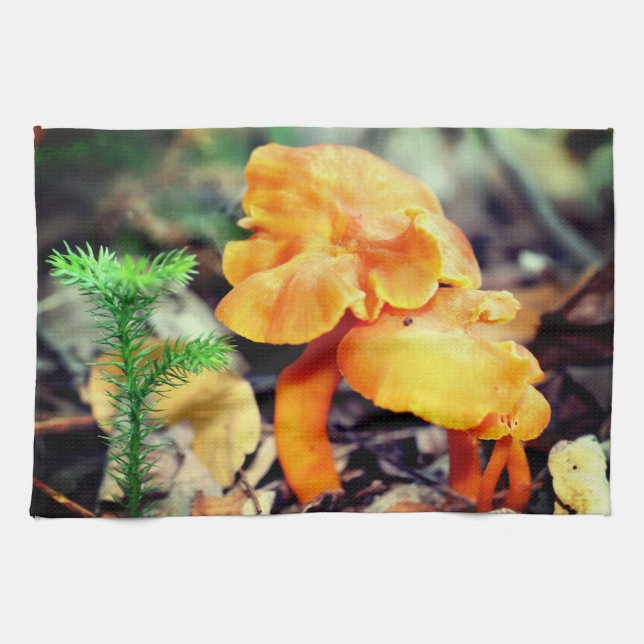 Pale Orange Wild Mushrooms Close Up Tea Towel (Horizontal)
