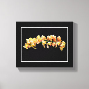 Pale Orange Yellow Orchids Black Background Canvas Print