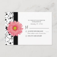Pale Pale Gerbera Daisy Black Scroll Design RSVP