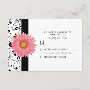 Pale Pale Gerbera Daisy Black Scroll Design RSVP Card