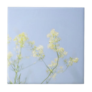 Pale Pastel Blue Sky Wild Flowers Meadow Tile