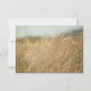 Pale Pastel Colours Field Thank You Flat Card
