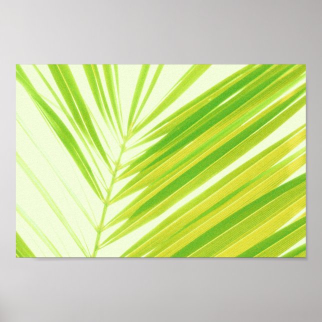 Pale Pastel Green Palm Tree Leaves Poster (Front)