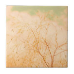 Pale Pastel Light Shades Tree Brunches Sky Tile<br><div class="desc">Pale Pastel Light Beige Tree Brunches Sky Ceramic Decorative Tile Tiles to add to your collection. A great gift / present idea for all who love happy positive vibes,  custom design personalised items,  nature,  organic theme,  soft colours etc.</div>