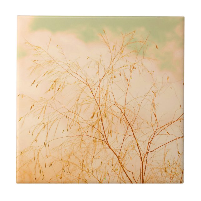 Pale Pastel Light Shades Tree Brunches Sky Tile (Front)