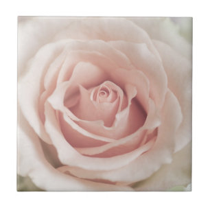 Pale Peach Antique Rose Background Customised Tile