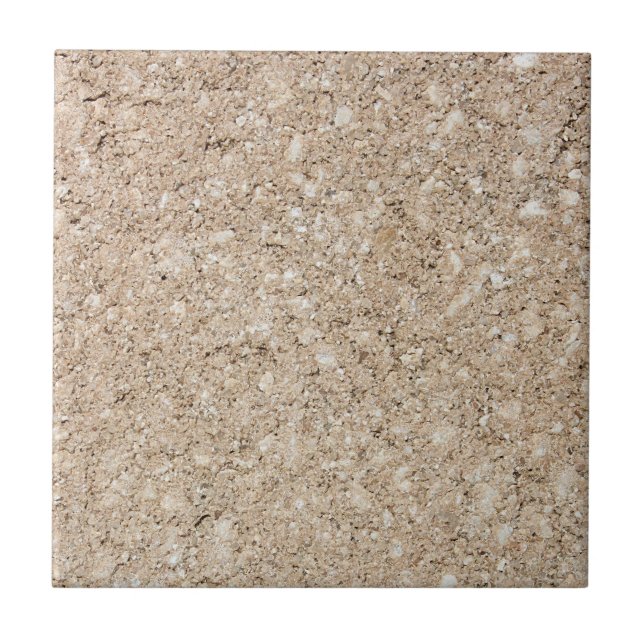 Pale Peachy Beige Cement Sidewalk Tile (Front)