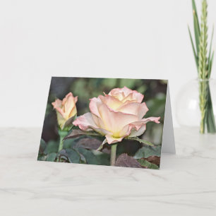 Pale Pink and Yellow Roses Art Card