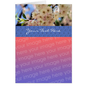 Pale Pink Blossoms Floral Photo Card