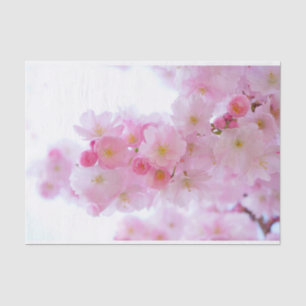 Pale Pink Cherry Blossoms Tissue Paper