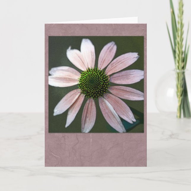 Pale pink echinacea card (Front)