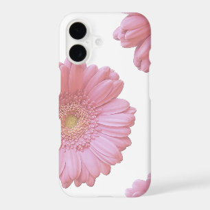 Pale pink gerbera daisy