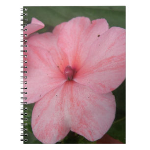Pale Pink Impatiens Flower Notebook