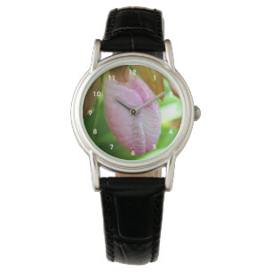 Pale Pink Lady Slipper Orchid Flower Close Up Watch