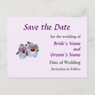 Pale Pink Orchids Announcement Postcard