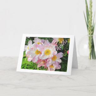 PALE PINK PEONIES WITH YELLOW CENTERS/"HELLO" CARD
