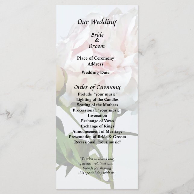 Pale Pink Peony and Bud Programme (Front)