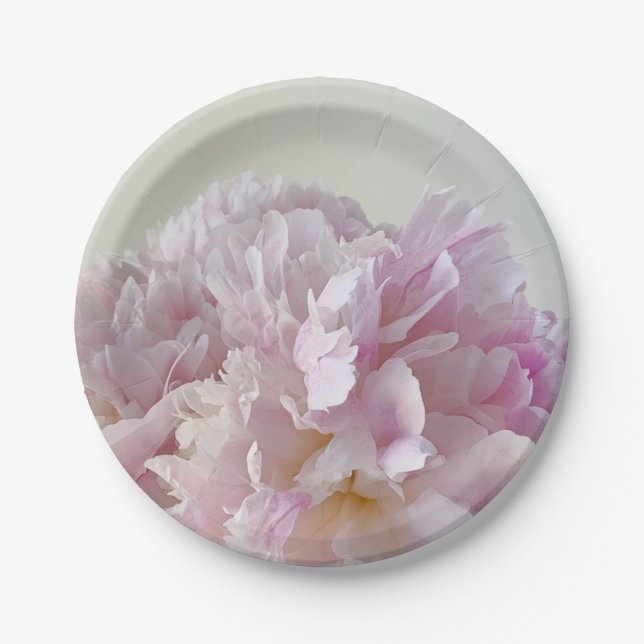 Pale pink peony closeup Paper Plate (Front)