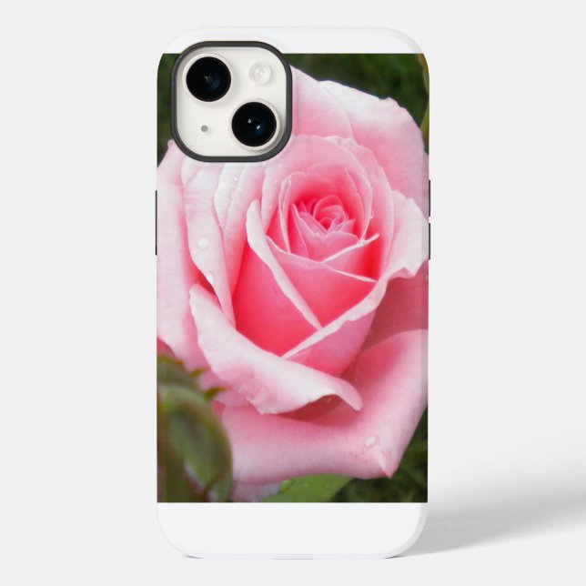 Pale Pink Rose  Case-Mate iPhone Case (Back)