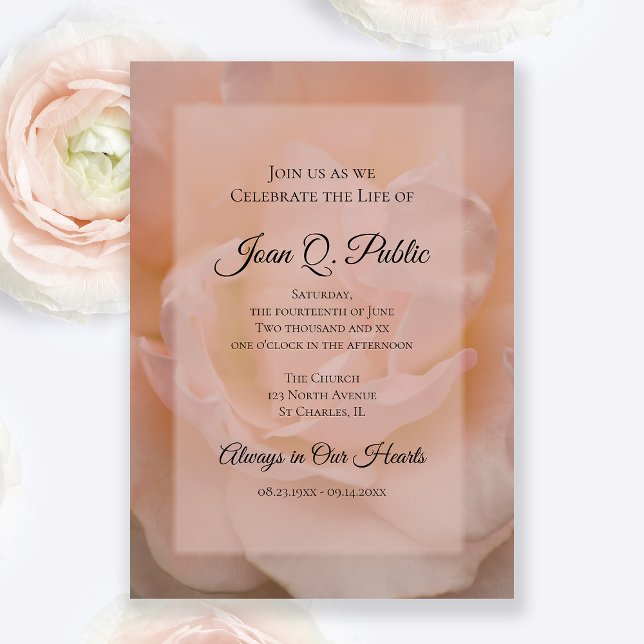 Pale Pink Rose Celebration of Life Memorial Invitation (Creator Uploaded)