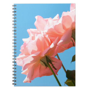 Pale pink rose notebook