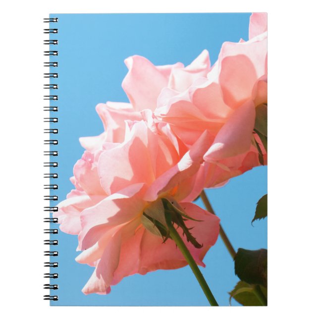 Pale pink rose notebook (Front)