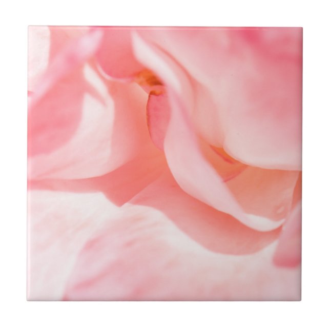 Pale pink Rose Petals Tile (Front)