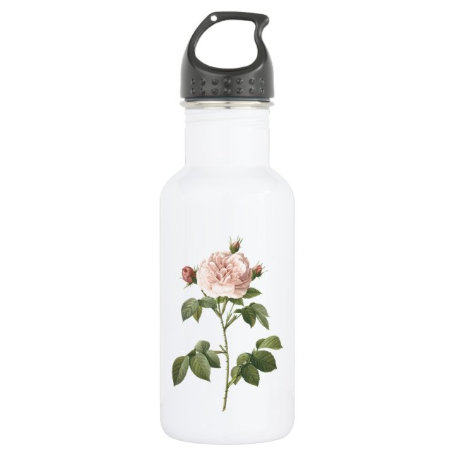 pale pink rose (Rosa alba regalis) by Redouté 532 Ml Water Bottle (Front)