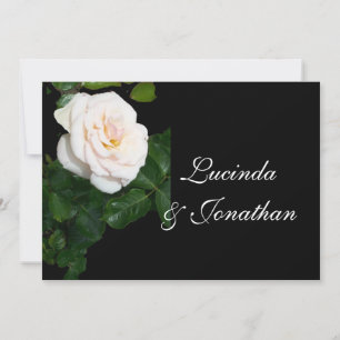 Pale Pink Rose Wedding Invitation