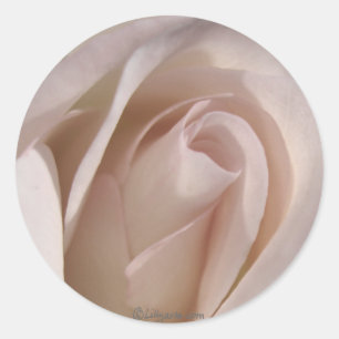 Pale Pink Rose Wedding Invitation Seal