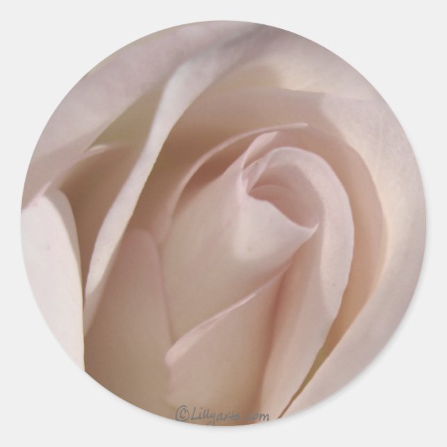 Pale Pink Rose Wedding Invitation Seal (Front)