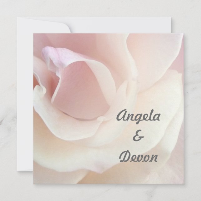 Pale Pink Rose Wedding Invitations (Front)
