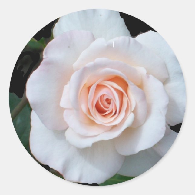 Pale Pink Rosebud on Black Background Classic Round Sticker (Front)