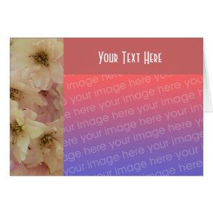 Pale Pink Spring Blossoms Floral Photo Card