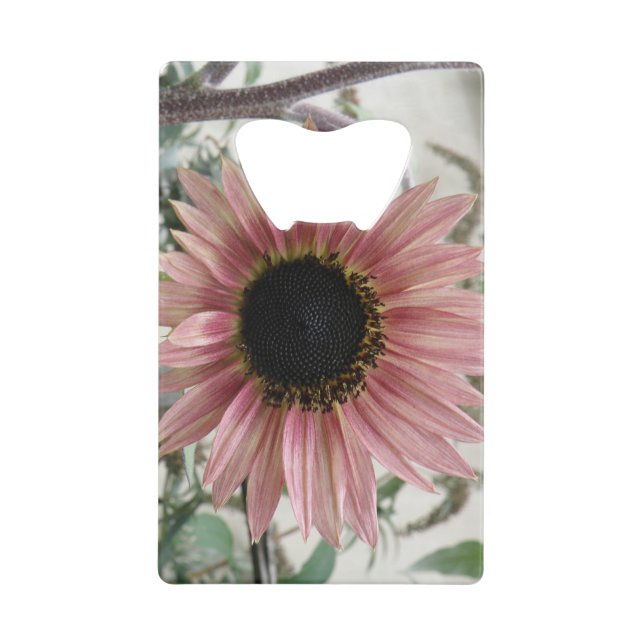 Pale Pink Sunflower (Front)