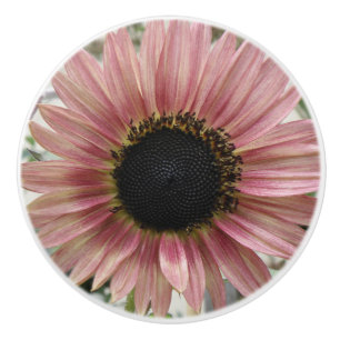 Pale Pink Sunflower Ceramic Knob