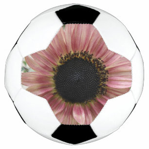 Pale Pink Sunflower Football