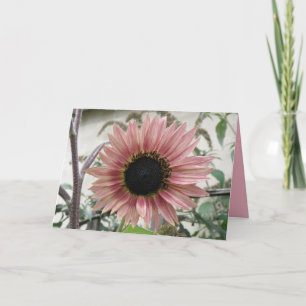 Pale Pink Sunflower Get Well Soon Custom Card