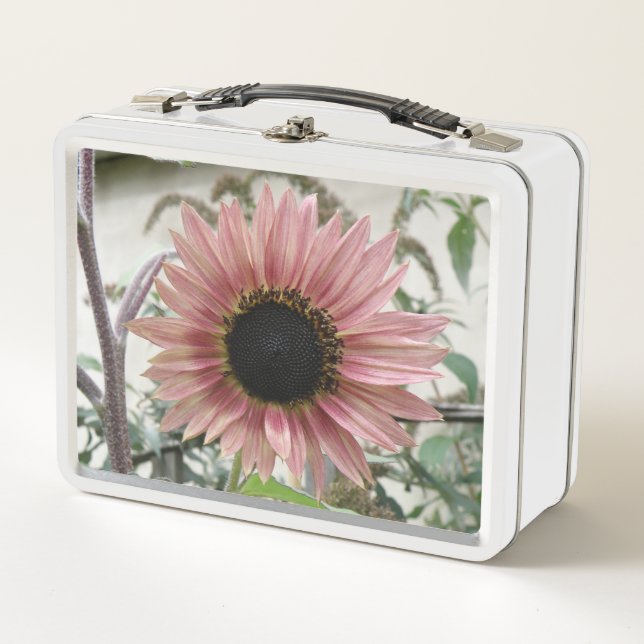 Pale Pink Sunflower Metal Lunch Box (Front)