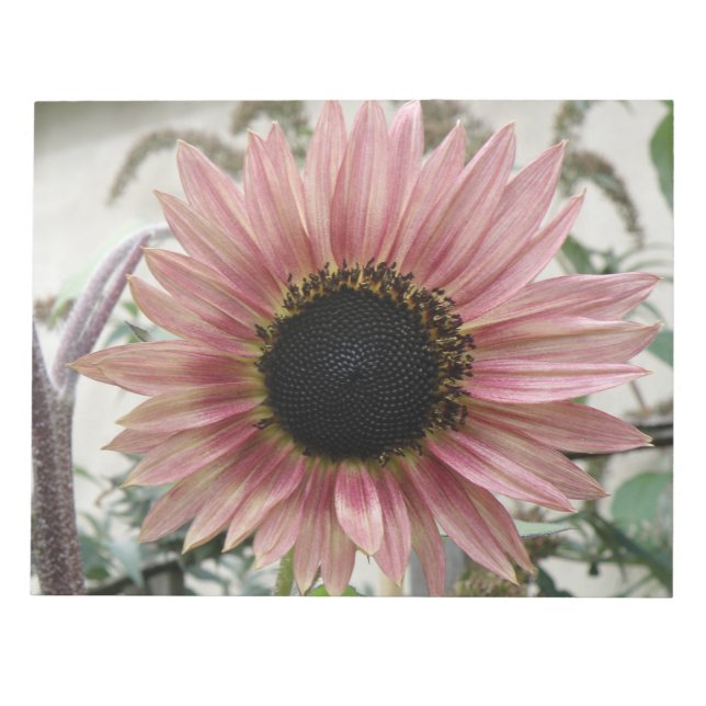 Pale Pink Sunflower Notepad (Front)