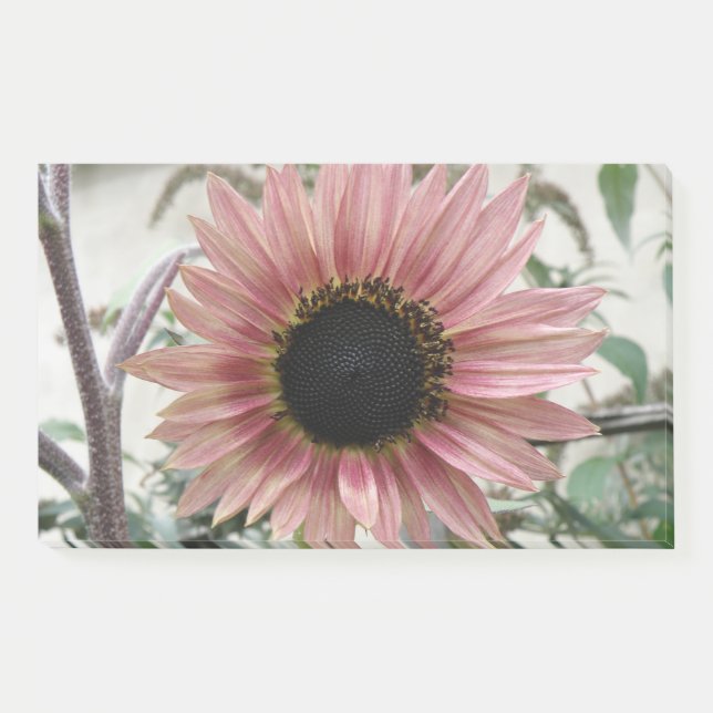 Pale Pink Sunflower Post-it Notes (Front)
