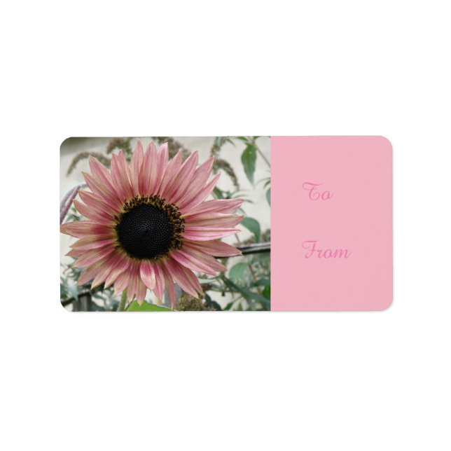Pale Pink Sunflower Present Tag Label (Front)