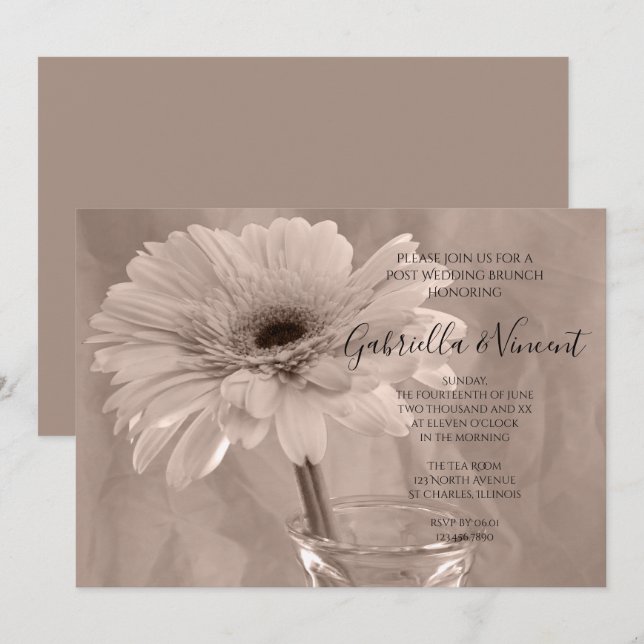 Pale Pink Tinted Daisy Post Wedding Brunch Invitation (Front/Back)