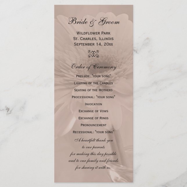 Pale Pink Tinted Daisy Wedding Program Programme (Front)