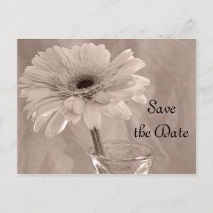 Pale Pink Tinted Daisy Wedding Save the Date Announcement Postcard